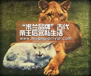 米兰品牌