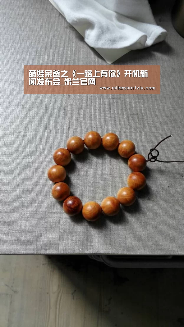萌娃呆爸之《一路上有你》开机新闻发布会_米兰官网(图1) 米兰入口